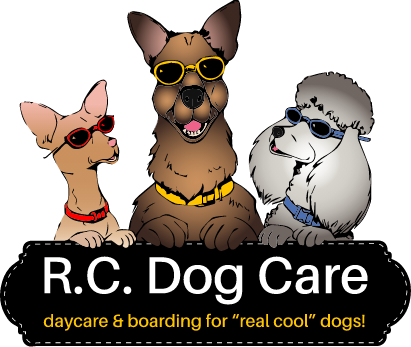 rcdogcare.com